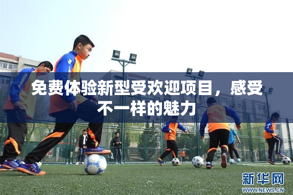 免费体验新型受欢迎项目，感受不一样的魅力
