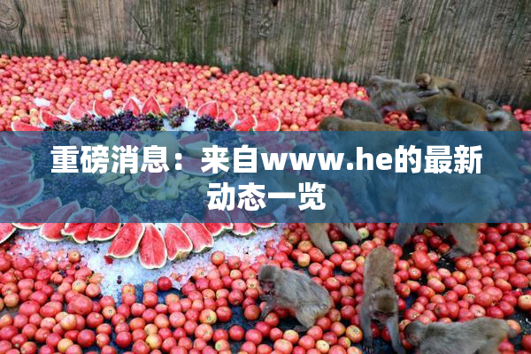 重磅消息：来自www.he的最新动态一览