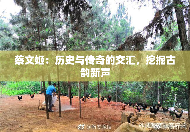蔡文姬：历史与传奇的交汇，挖掘古韵新声