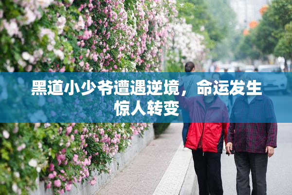 黑道小少爷遭遇逆境，命运发生惊人转变