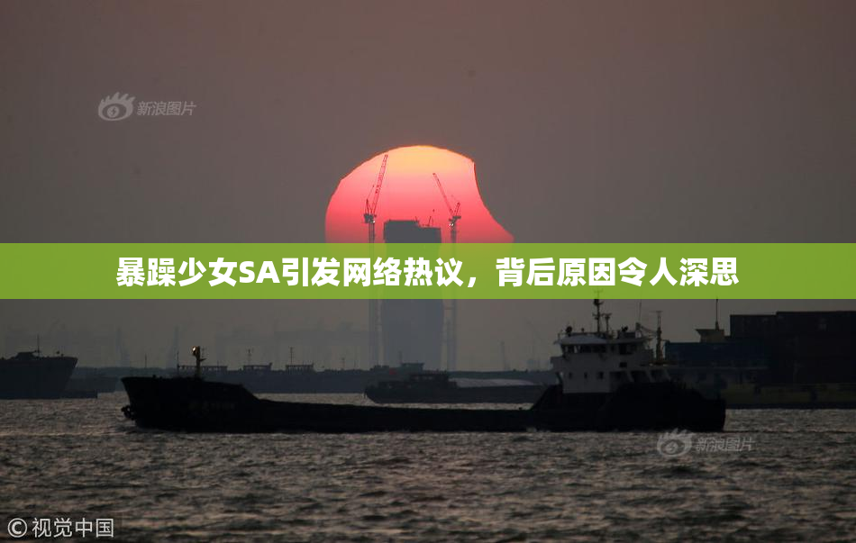 暴躁少女SA引发网络热议，背后原因令人深思