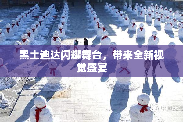 黑土迪达闪耀舞台，带来全新视觉盛宴
