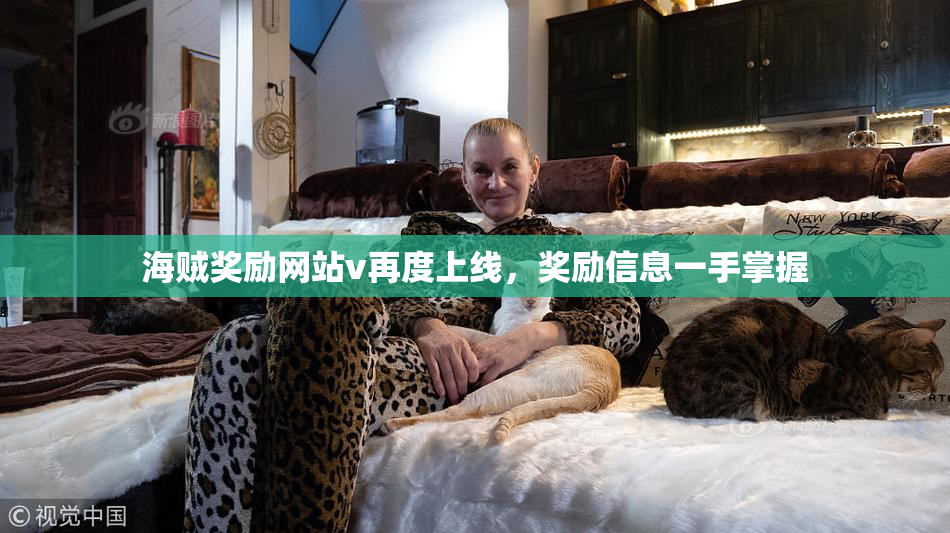 海贼奖励网站v再度上线，奖励信息一手掌握