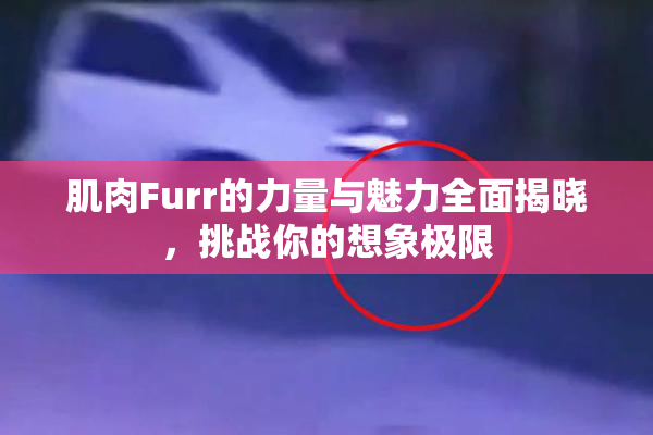 肌肉Furr的力量与魅力全面揭晓，挑战你的想象极限