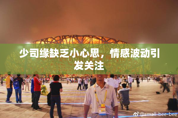 少司缘缺乏小心思，情感波动引发关注