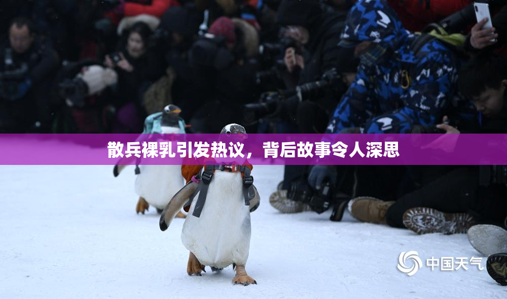 散兵裸乳引发热议，背后故事令人深思