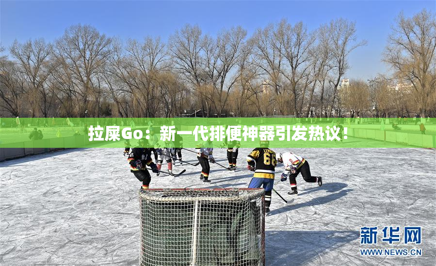 拉屎Go：新一代排便神器引发热议！