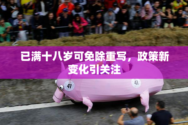 已满十八岁可免除重写，政策新变化引关注