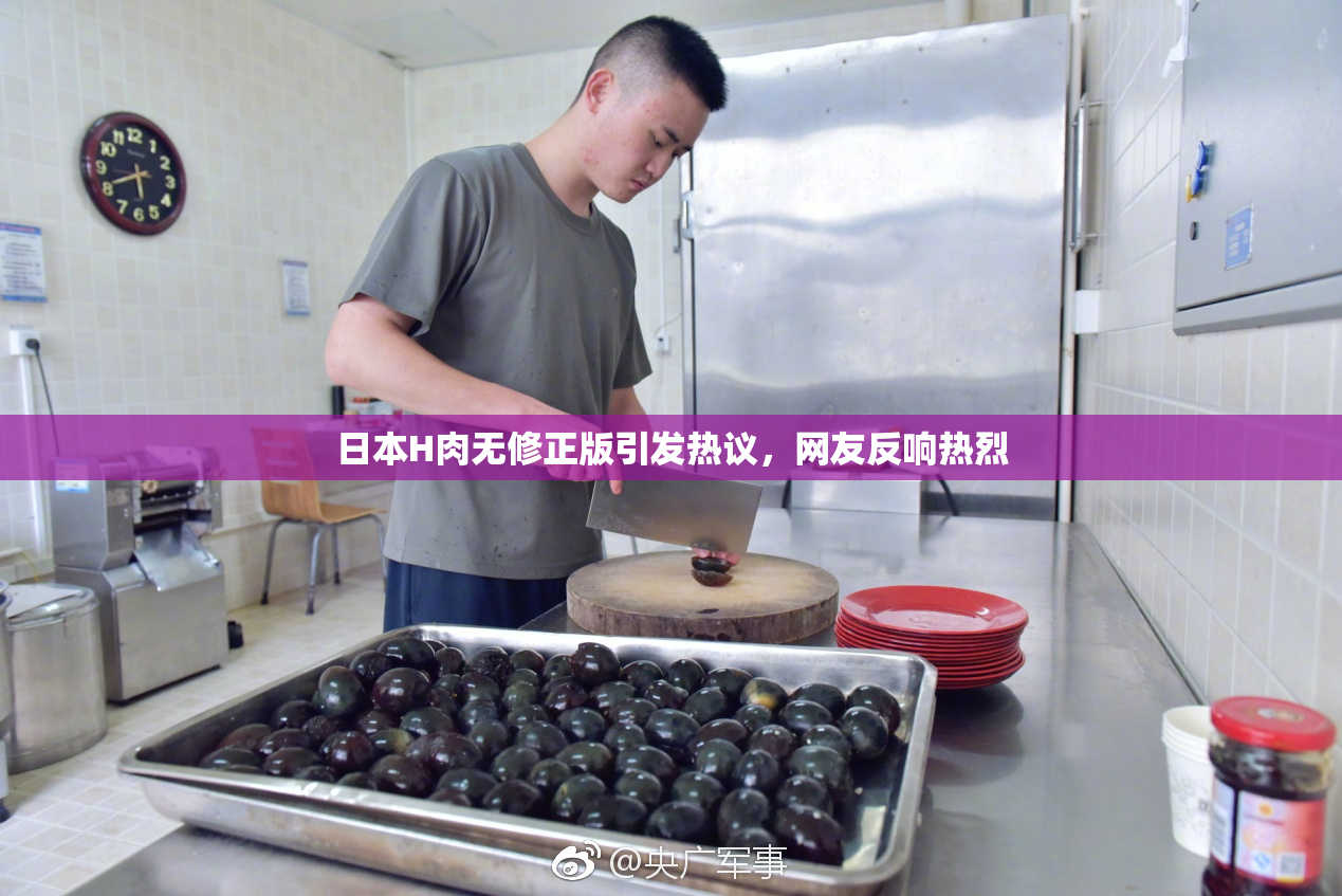 日本H肉无修正版引发热议，网友反响热烈
