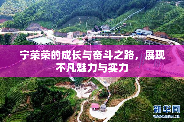 宁荣荣的成长与奋斗之路，展现不凡魅力与实力