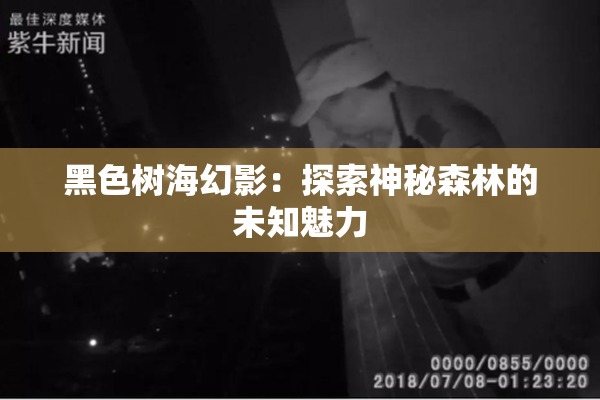 黑色树海幻影：探索神秘森林的未知魅力