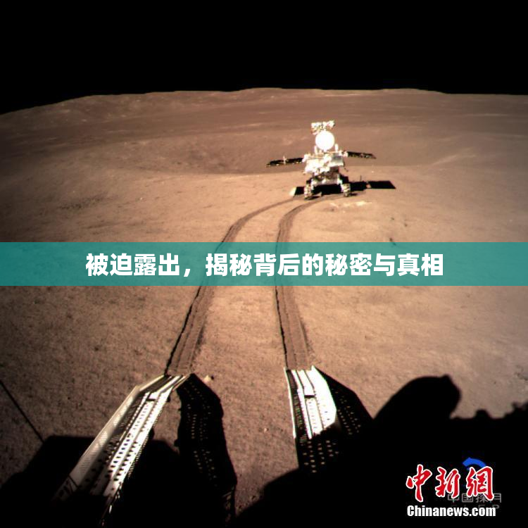 被迫露出，揭秘背后的秘密与真相