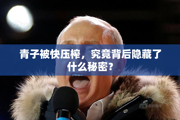 青子被快压榨，究竟背后隐藏了什么秘密？