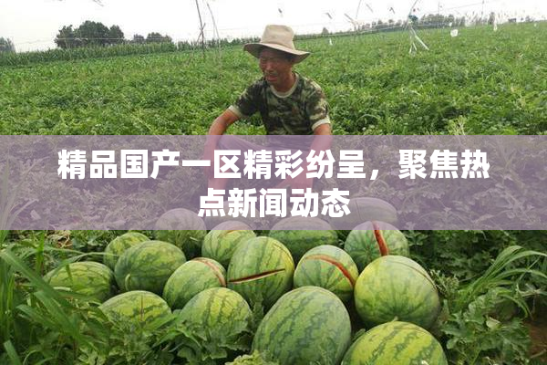 精品国产一区精彩纷呈，聚焦热点新闻动态