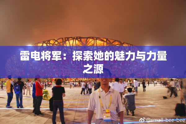 雷电将军：探索她的魅力与力量之源