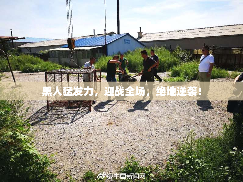 黑人猛发力，迎战全场，绝地逆袭！
