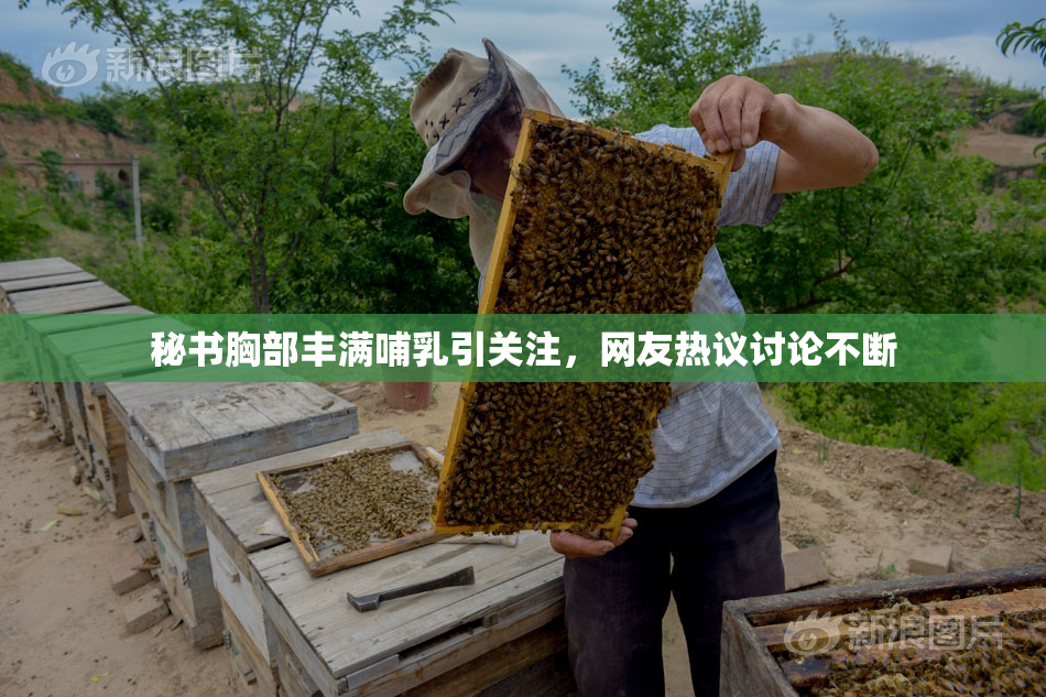 秘书胸部丰满哺乳引关注，网友热议讨论不断