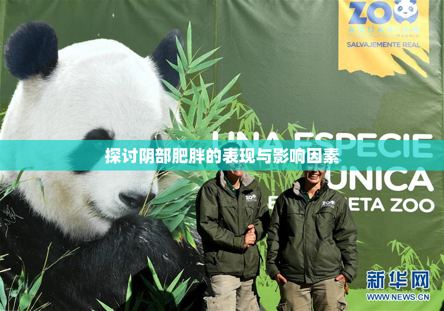 探讨阴部肥胖的表现与影响因素