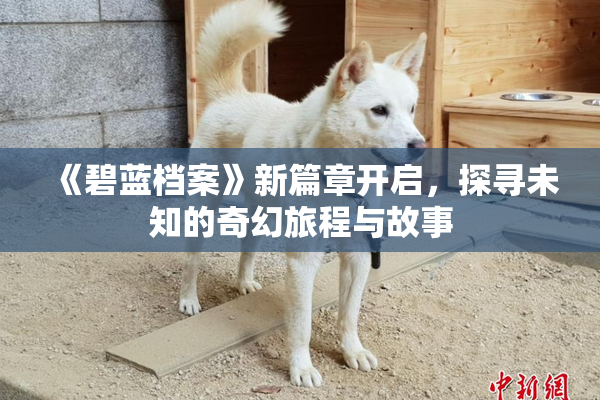 《碧蓝档案》新篇章开启，探寻未知的奇幻旅程与故事