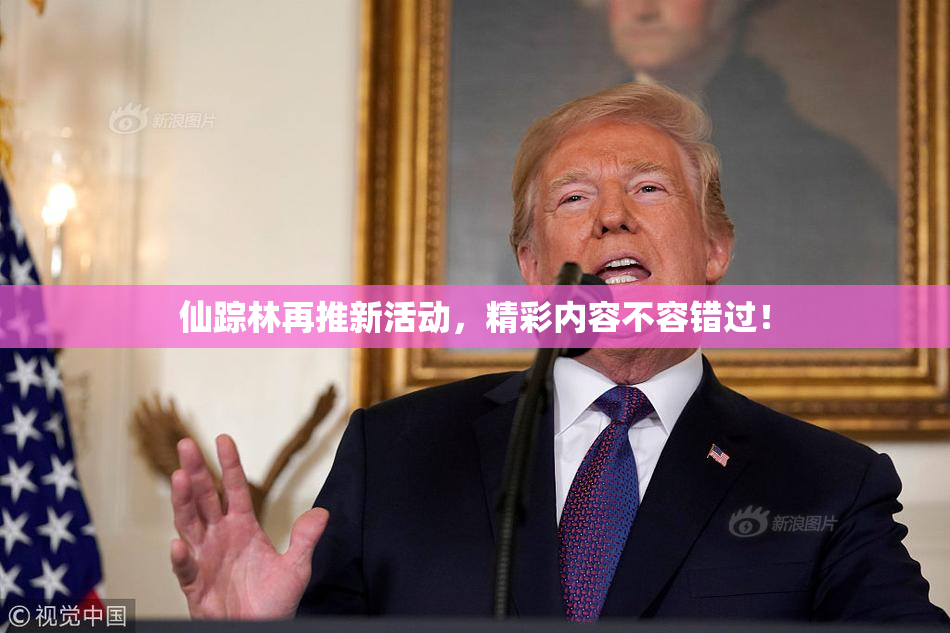仙踪林再推新活动，精彩内容不容错过！