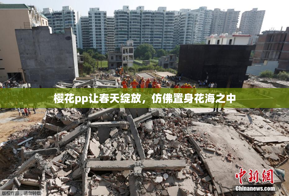 樱花pp让春天绽放，仿佛置身花海之中