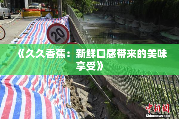 《久久香蕉：新鲜口感带来的美味享受》