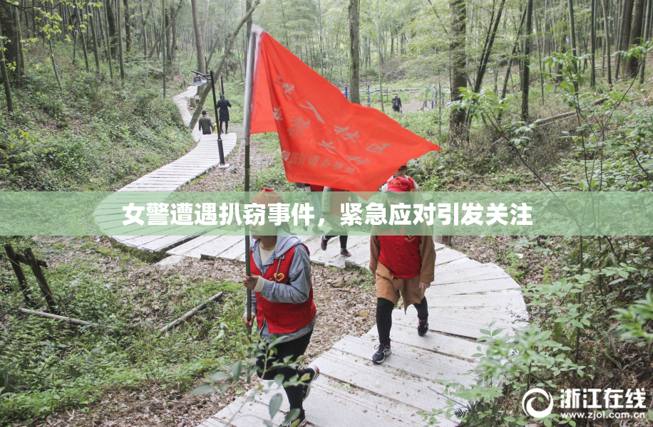 女警遭遇扒窃事件，紧急应对引发关注