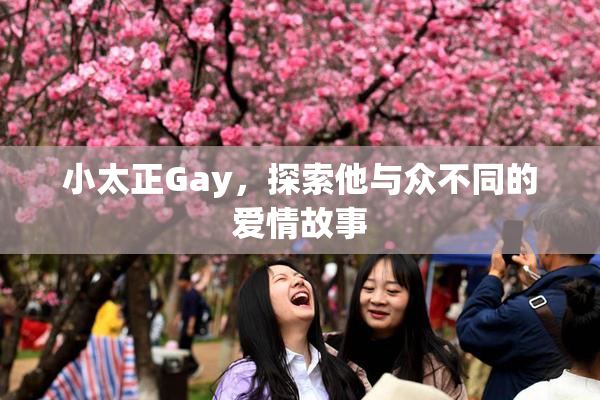 小太正Gay，探索他与众不同的爱情故事