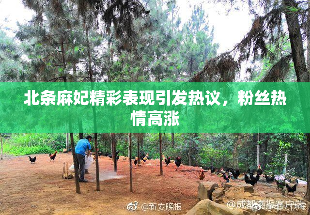 北条麻妃精彩表现引发热议，粉丝热情高涨