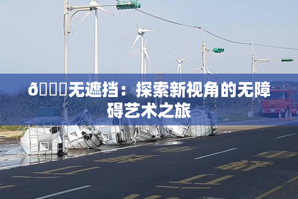 🔞无遮挡：探索新视角的无障碍艺术之旅