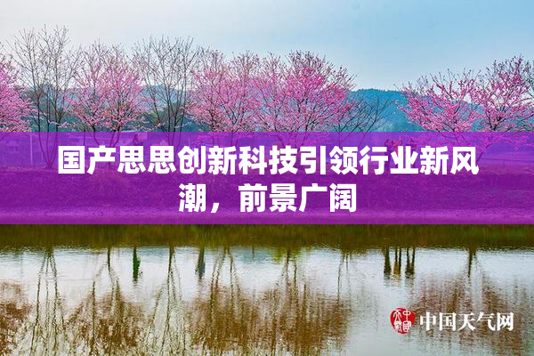 国产思思创新科技引领行业新风潮，前景广阔