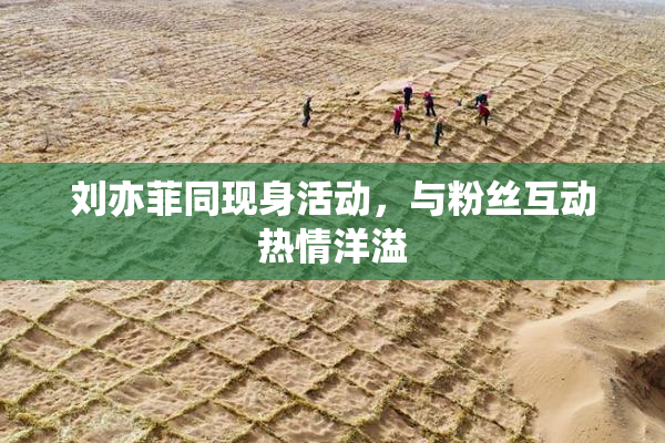 刘亦菲同现身活动，与粉丝互动热情洋溢