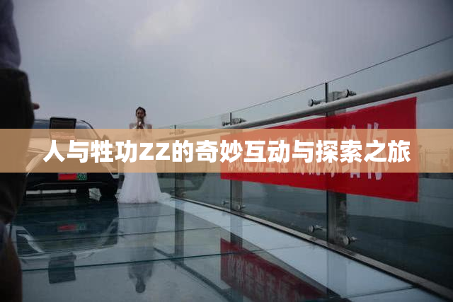 人与牲功ZZ的奇妙互动与探索之旅