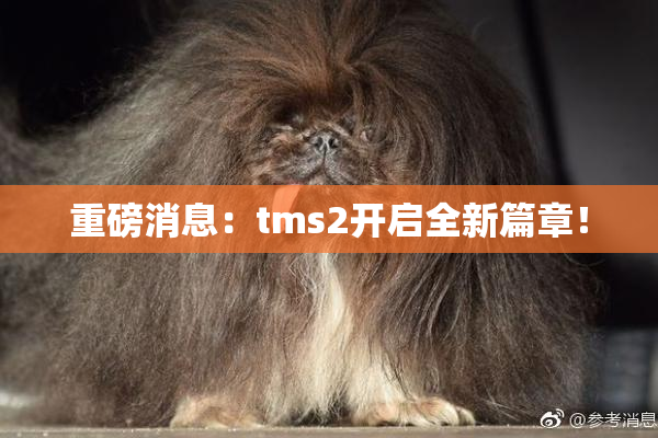 重磅消息：tms2开启全新篇章！