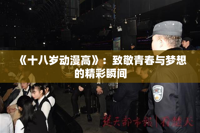 《十八岁动漫高》：致敬青春与梦想的精彩瞬间