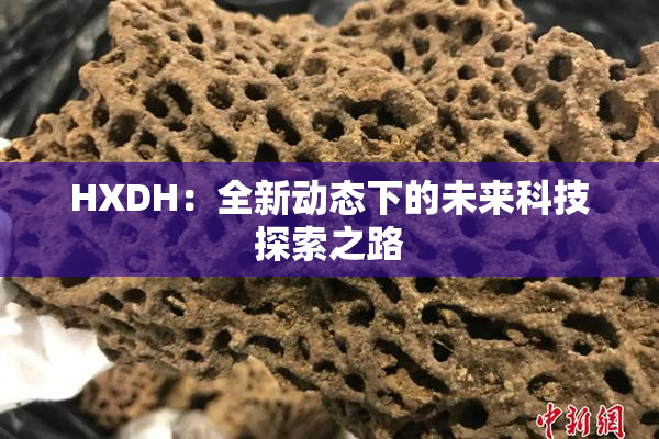 HXDH：全新动态下的未来科技探索之路