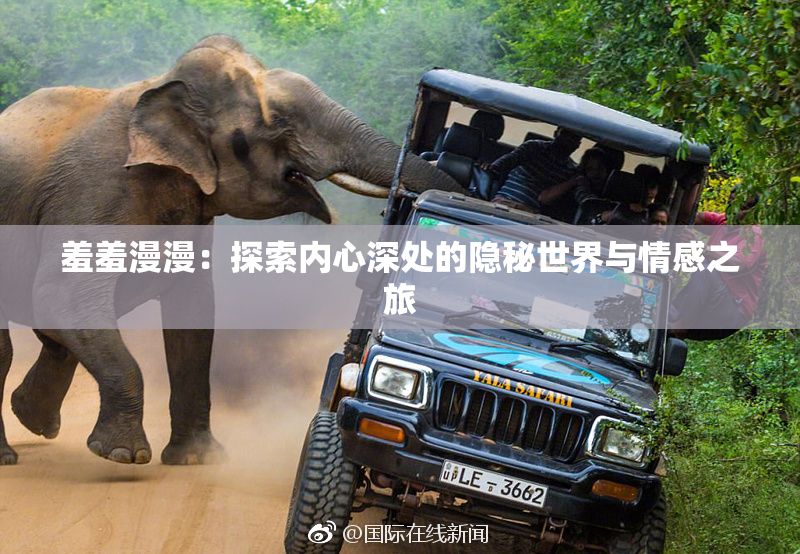羞羞漫漫：探索内心深处的隐秘世界与情感之旅
