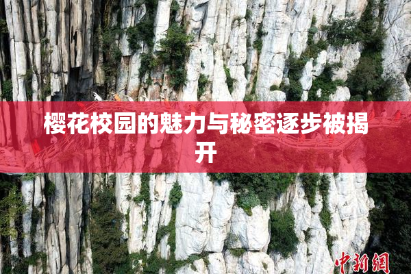 樱花校园的魅力与秘密逐步被揭开