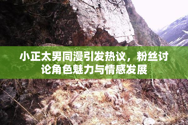 小正太男同漫引发热议，粉丝讨论角色魅力与情感发展