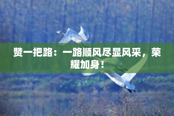 赞一把路：一路顺风尽显风采，荣耀加身！