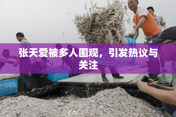 张天爱被多人围观，引发热议与关注
