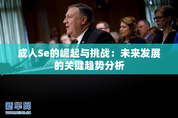 成人Se的崛起与挑战：未来发展的关键趋势分析