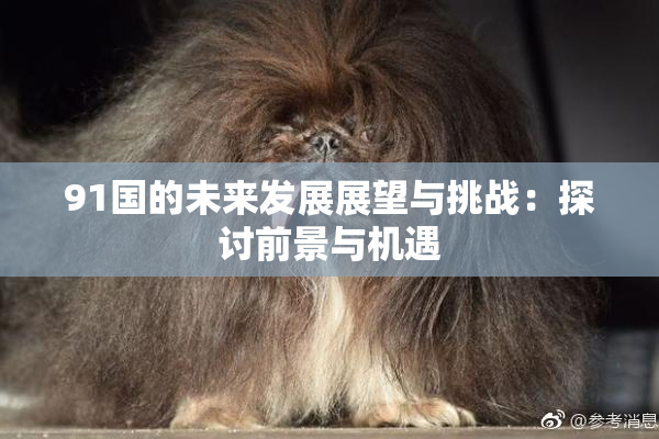 91国的未来发展展望与挑战：探讨前景与机遇