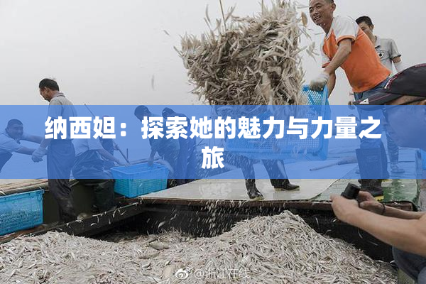 纳西妲：探索她的魅力与力量之旅