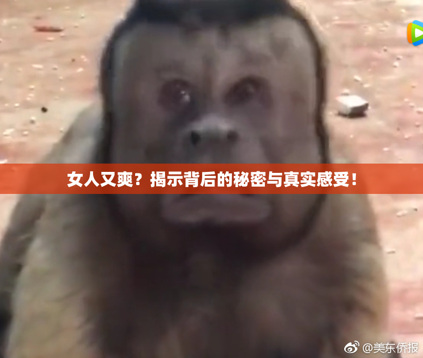 女人又爽？揭示背后的秘密与真实感受！