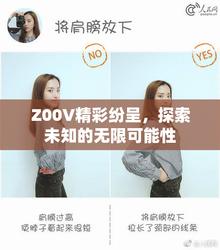 Z00V精彩纷呈，探索未知的无限可能性