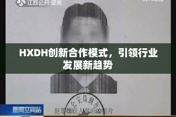 HXDH创新合作模式，引领行业发展新趋势