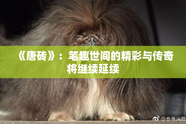 《唐砖》：笔趣世间的精彩与传奇将继续延续