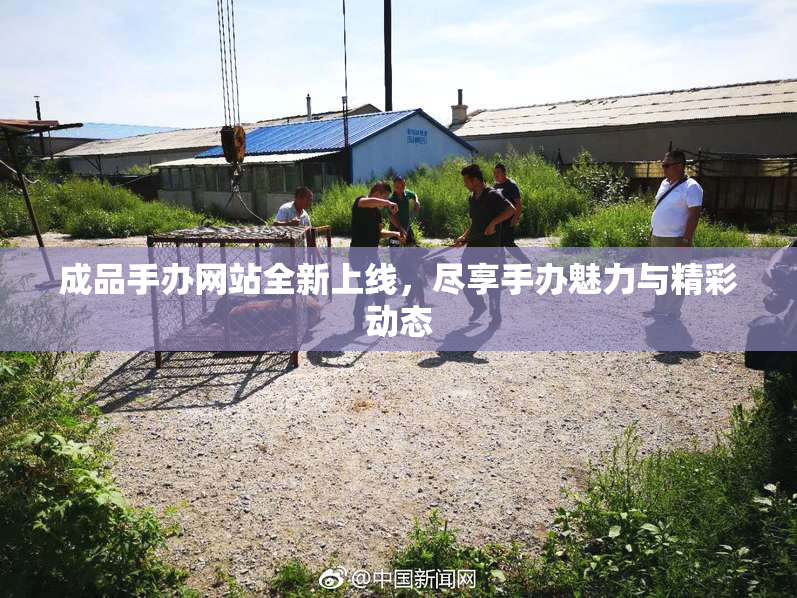 成品手办网站全新上线，尽享手办魅力与精彩动态