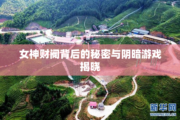 女神财阀背后的秘密与阴暗游戏揭晓